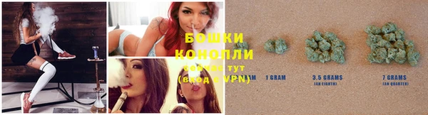 прущие крисы Богданович