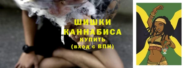 стаф Богородицк