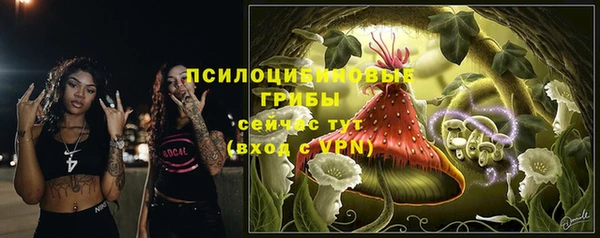 стаф Богородицк