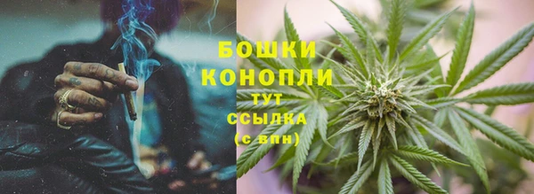 прущие крисы Богданович