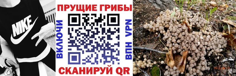 Псилоцибиновые грибы GOLDEN TEACHER Ильский