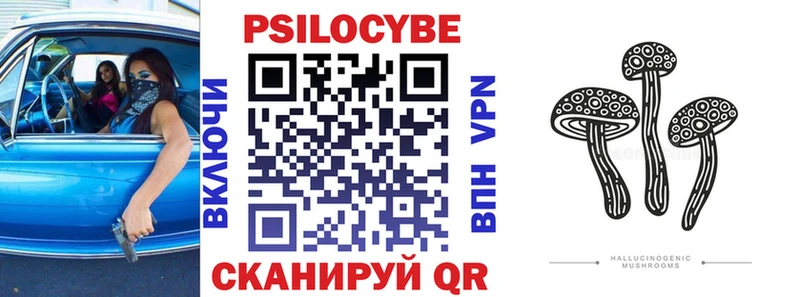 Галлюциногенные грибы Psilocybe  kraken   Ильский  как найти закладки 
